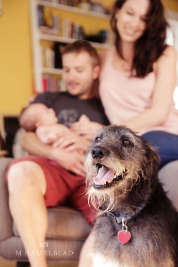 Family Portraits