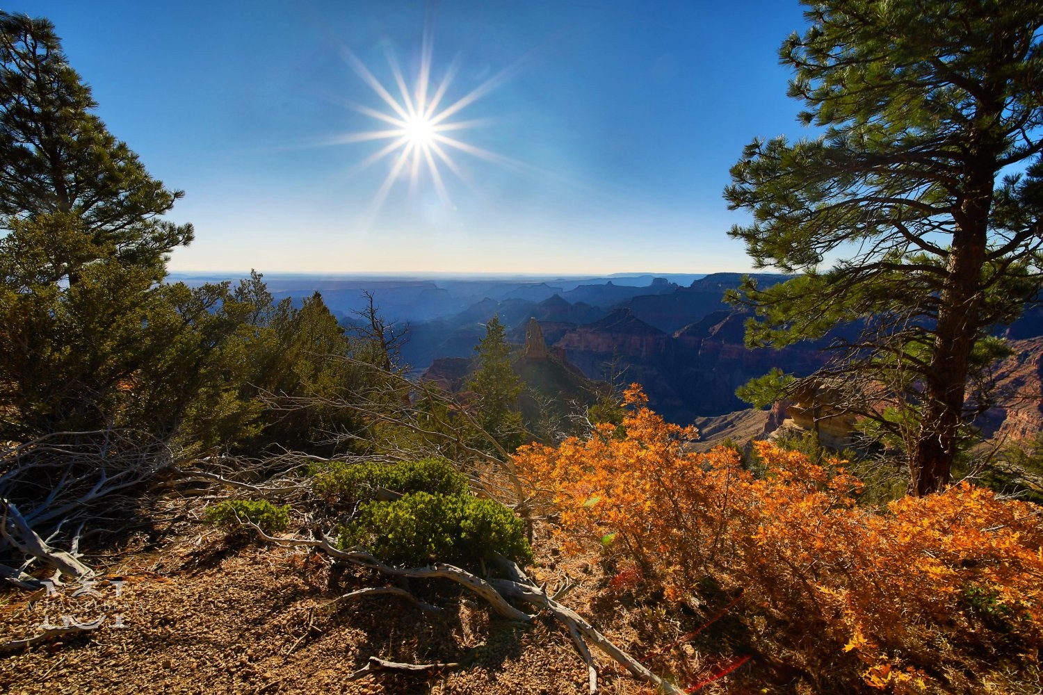 Grand Canyon in the Fall