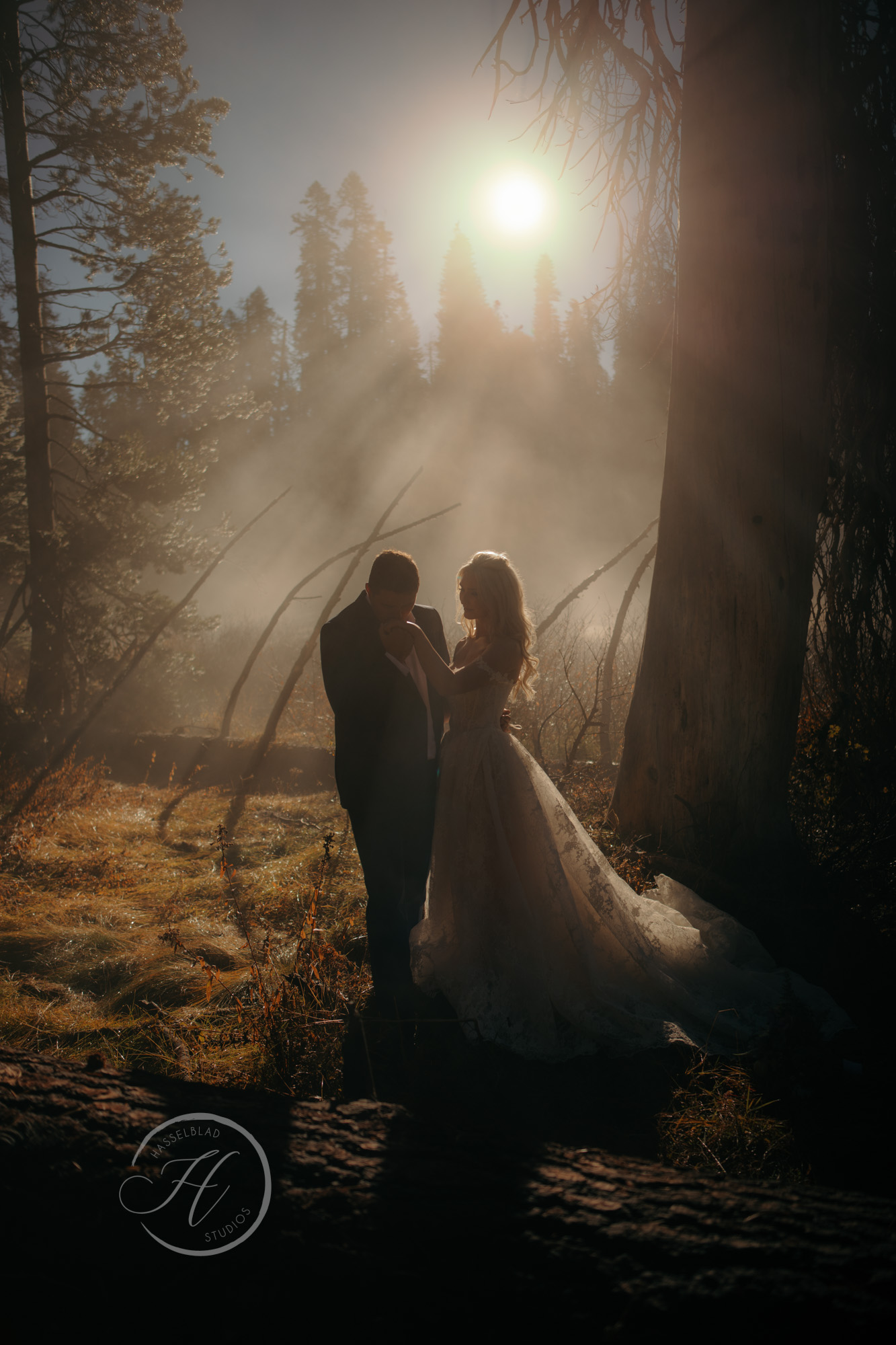 Yosemite Elopement | Half-Day | WED28540-Edit.jpg