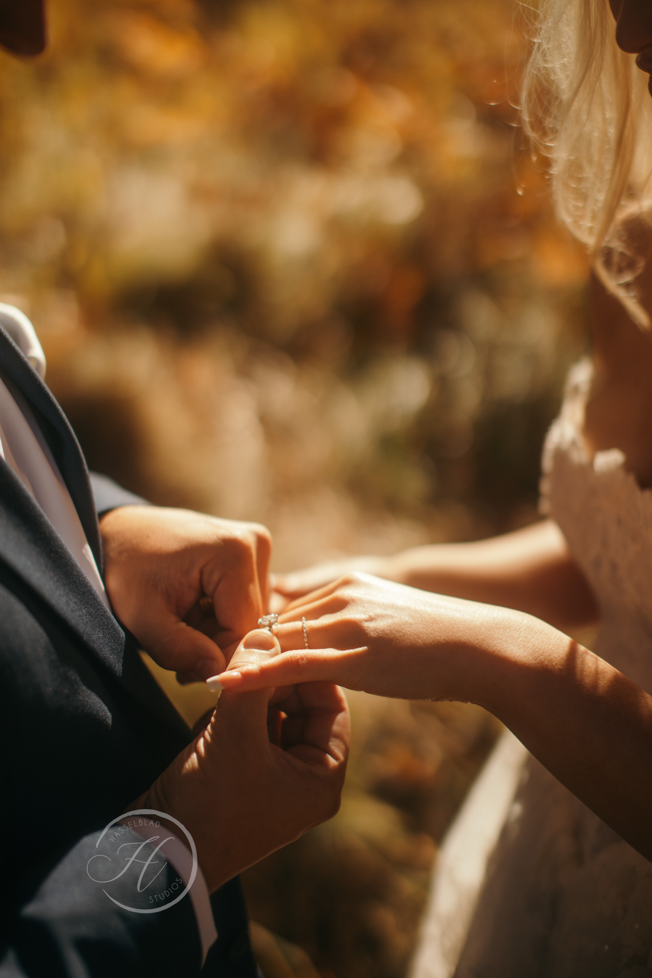 Yosemite Elopement | Half-Day | WED28757.jpg