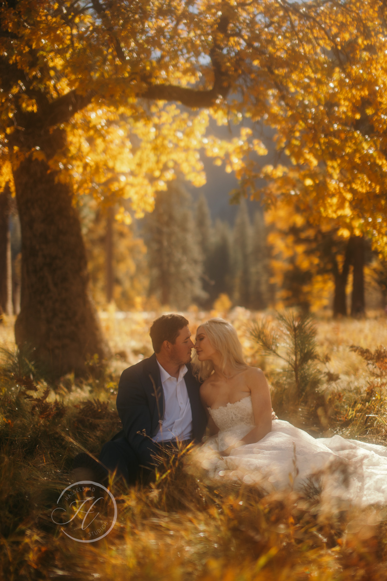 Yosemite Elopement | Half-Day | WED28889.jpg