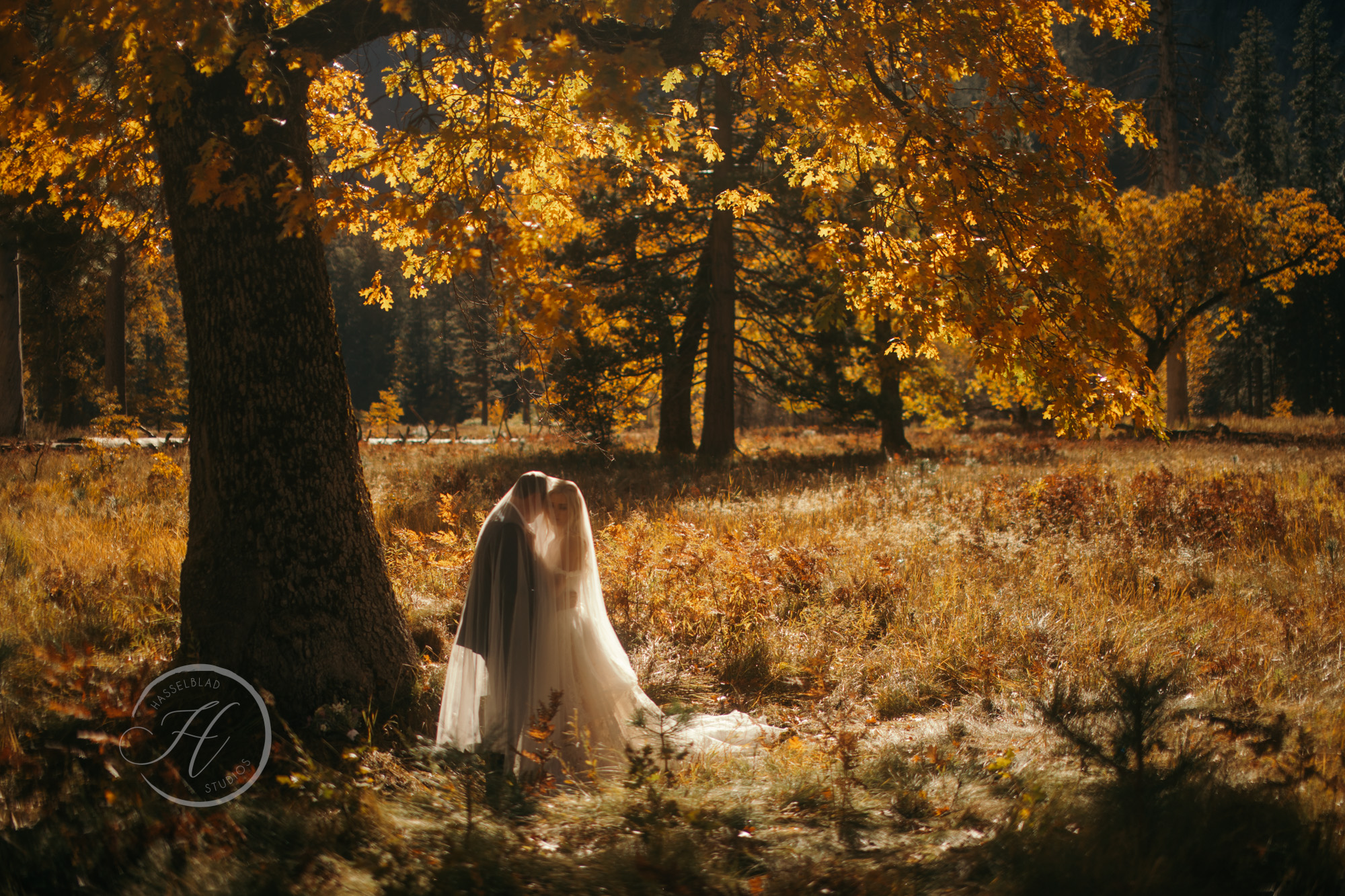 Yosemite Elopement | Half-Day | WED28676.jpg