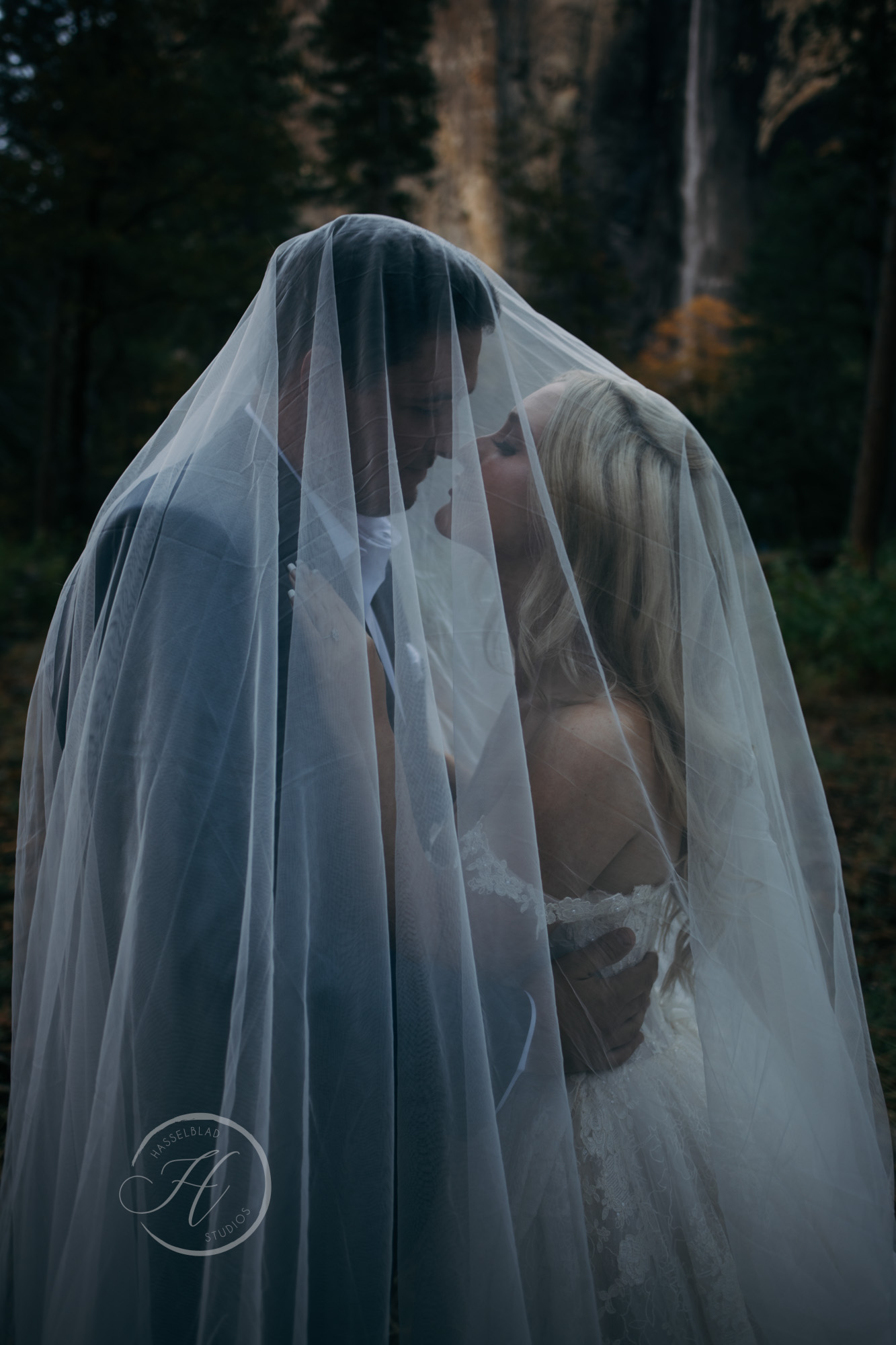 Yosemite Elopement | Half-Day | WED28588.jpg