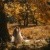 Yosemite Elopement | Half-Day | WED28676.jpg