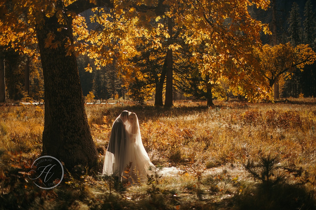 Yosemite Elopement | Full-Day